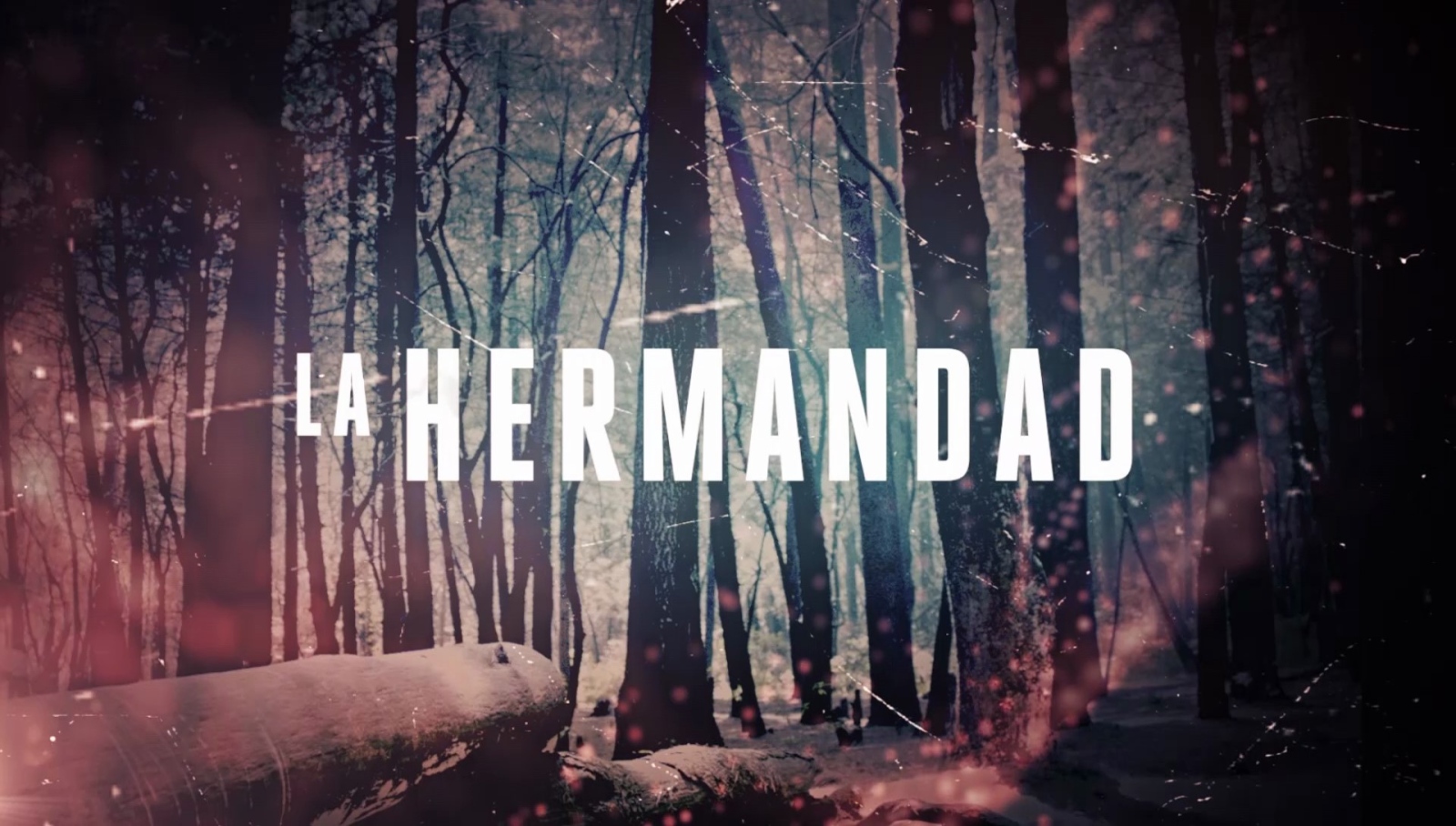 Братството