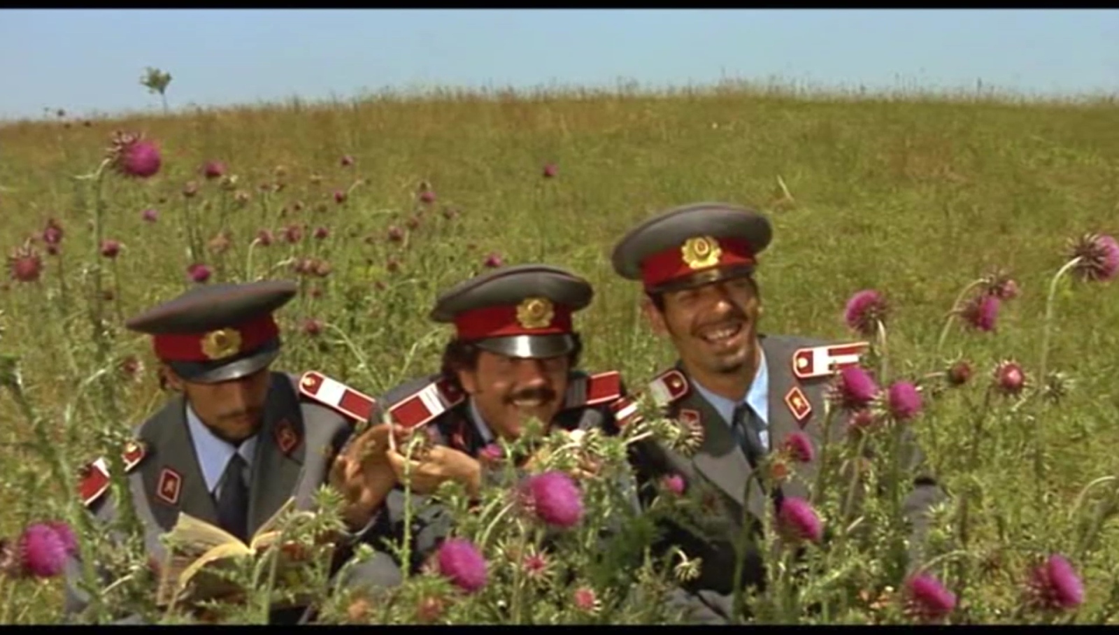 Черна котка бял котарак