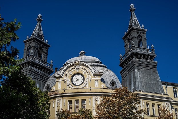 Експертни комисии ще констатират щетите от пожарите по земеделски култури и загинали селскостопански животни