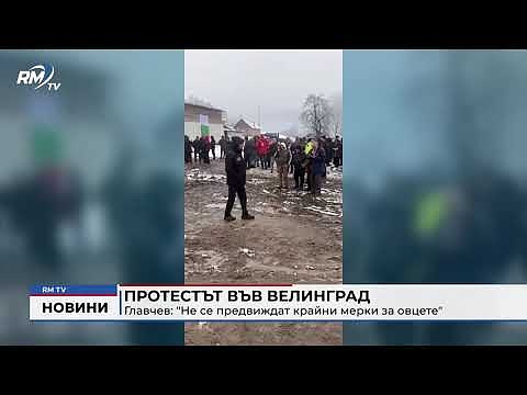 Протестът във Велинград - Главчев: \"Не се предвиждат крайни мерки за овцете\" 