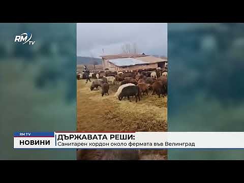 Държавата реши: Санитарен кордон около фермата във Велинград