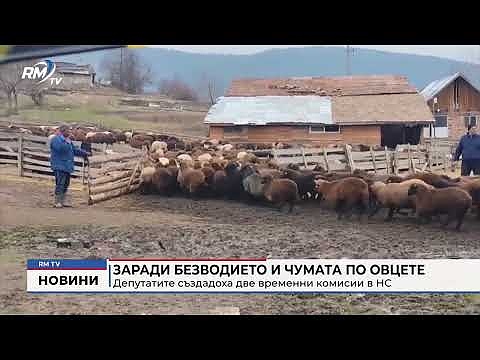 Заради безводието и чумата по овцете: Депутатите създадоха две временни комисии в НС