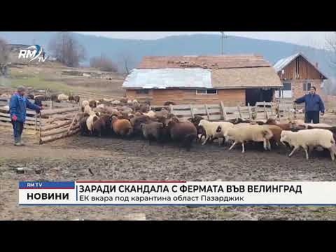 Заради скандала с фермата във Велинград: ЕК вкара под карантина област Пазарджик
