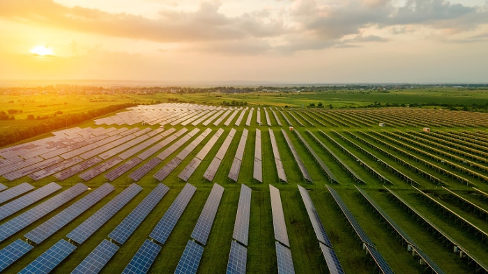  Крадци задигнаха 1600 м. кабел от фотоволтаичен парк във Видинско