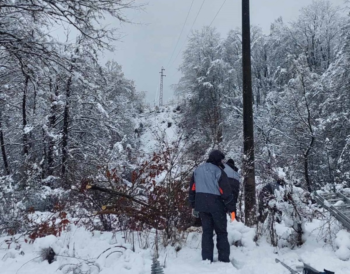ЕРМ Запад поетапно възстановява захранването, но паднали дървета и силен вятър предизвикват нови аварии