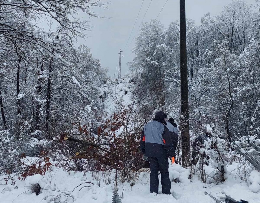 ЕРМ Запад поетапно възстановява захранването, но паднали дървета и силен вятър предизвикват нови аварии