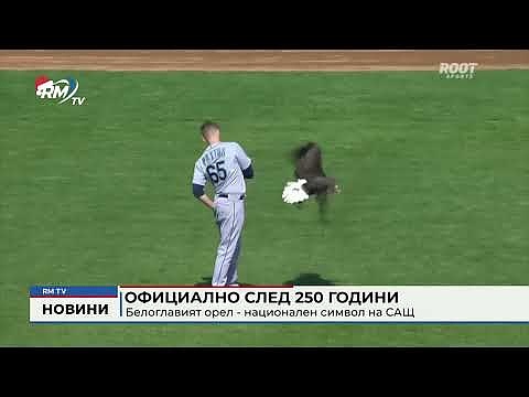 Официално след 250 години: Белоглавият орел - национален символ на САЩ