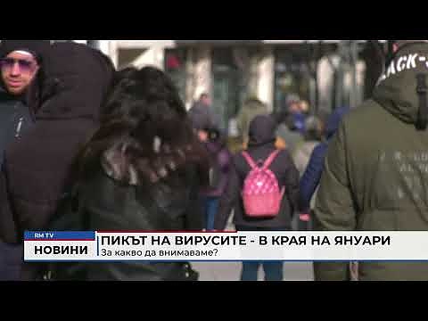 Пикът на вирусите - в края на януари: За какво да внимаваме?