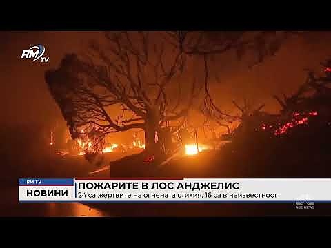 Пожарите в Лос Анджелис: 24 са жертвите на огнената стихия, 16 са в неизвестност