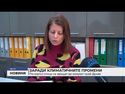 Заради климатичните промени: По-малко птици се връщат да зимуват край Дунав 