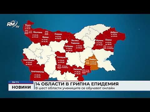 14 области в грипна епидемия: В шест области учениците се обучават онлайн