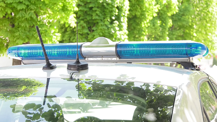 Мъж преби кучето си с дървен кол на терасата на жилището си