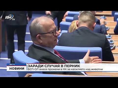 Заради случая в Перник: БСП-ОЛ внесе промени в НК за насилието над животни