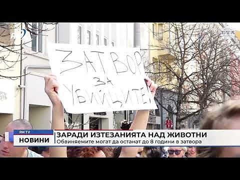 Заради изтезанията над животни: Обвиняемите могат да останат до 8 години в затвора 