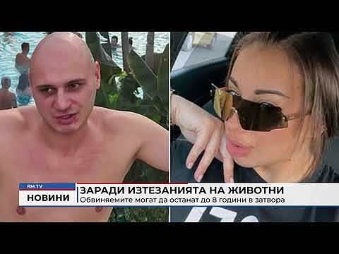 Заради изтезанията на животни: Обвиняемите могат да останат до 8 години в затвора