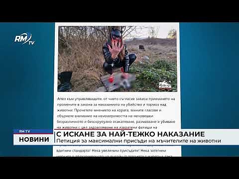 С искане за най-тежко наказание: Петиция за максимални присъди на мъчителите на животни