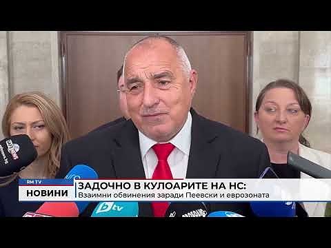 Задочно в кулоарите на НС: Взаимни обвинения заради Пеевски и еврозоната