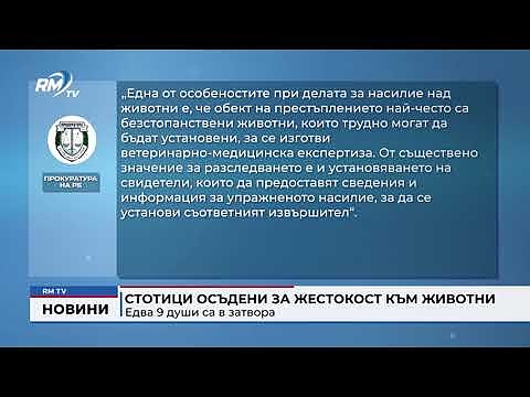 Стотици осъдени за жестокост към животни: Едва 9 души са в затвора