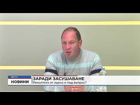 Заради засушаване: Реколтата от зърно е под въпрос?