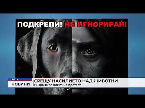 Срещу насилието над животни: И Враца се вдига на протест