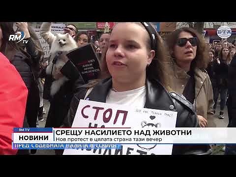 Срещу насилието над животни: Нов протест в цялата страна, тази вечер