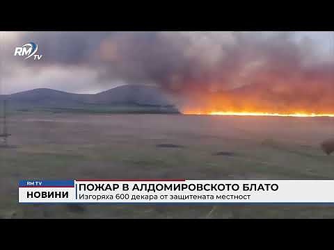 Пожар в Алдомировското блато: Изгоряха 600 декара от защитената местност 