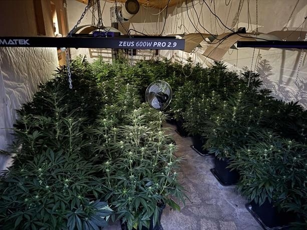 Откриха две наркооранжерии в софийски села