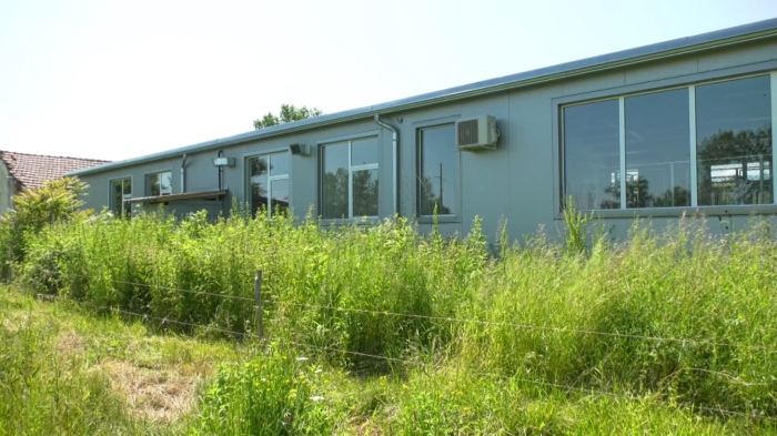 Търси се стопанин за кучкарника във Враца: Няма желаещи неправителствени организации 