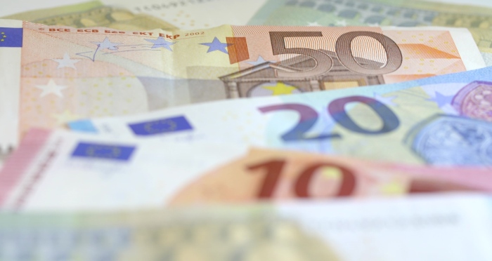 Левовете в евро: Трябва ли да има референдум?