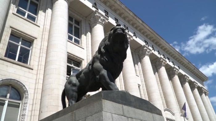 До края на юли: По-строг контрол и нов закон за вещите лица