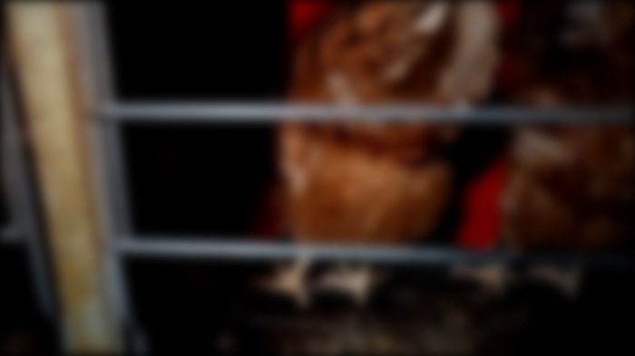 Затварят \"птицефермата от Ада\": След ужасяващите кадри за нехуманни условия в с. Крамолин