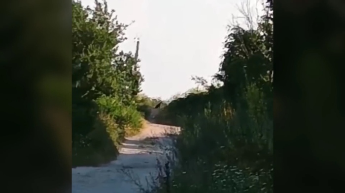 Хищникът - ден четвърти - Експертите на терен: \"Действията на леопарда са хаотични\"