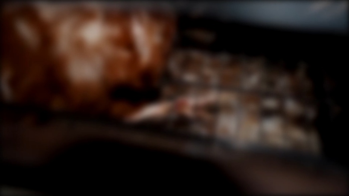 След кадрите с агонизиращи кокошки: БАБХ разпореди проверки във фермите за клетъчно отглеждане