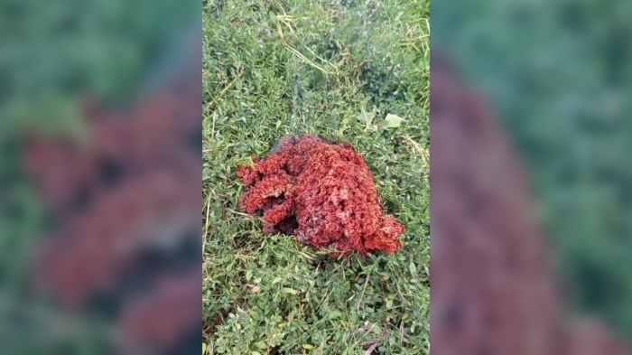 Мистериозен обект падна в Якоруда: От веществото излизало дим, а след това се изпарило 