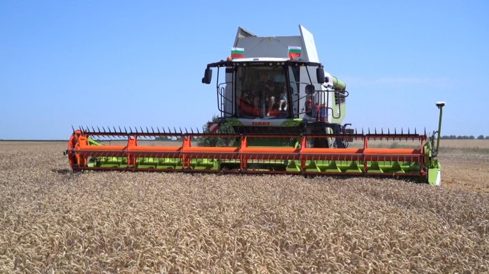 По-малко зърно прибират стопаните в Монтанско