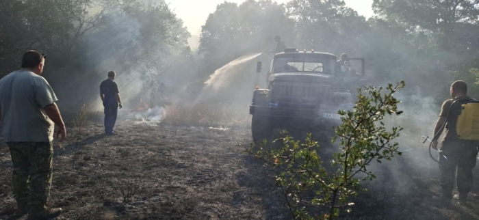 Военни се борят с пожара на полигон \"Сливница\"
