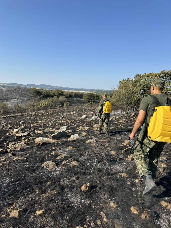Борбата с пожарите: Над 200 огнени стихии са локализирани за денонощие