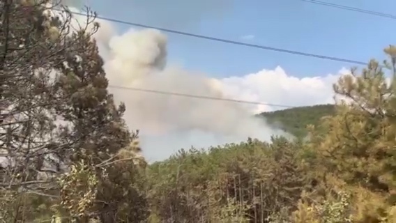 С 2,00 лева по-евтино. Намалява цената на потребителската кошница за седмицата