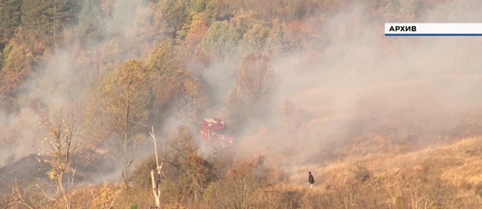 Отново пожари в Монтанско: Унищожени са лозя, нива и три автомобила