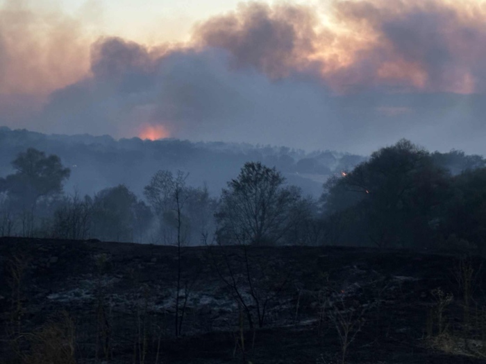 Пожар в Харманли: Огънят гори между селата Доситеево и Коларово 