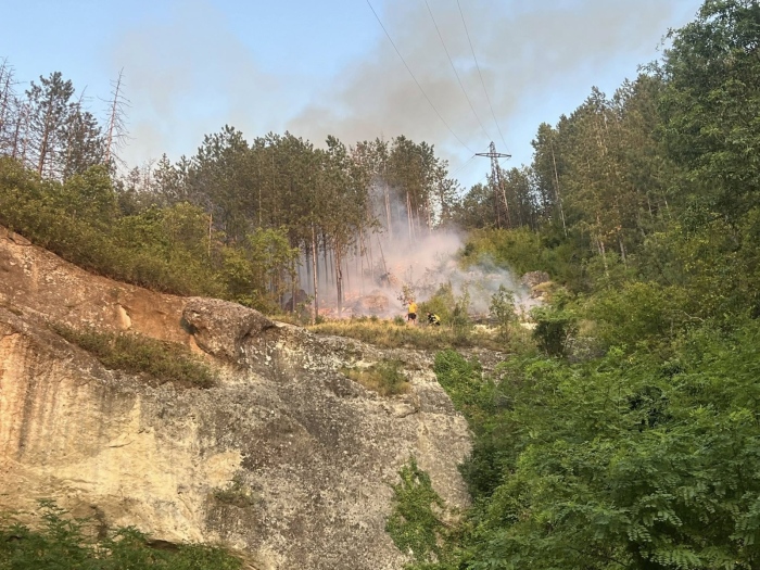 Нови два пожара в страната: Шуменското плато пламна късно снощи 