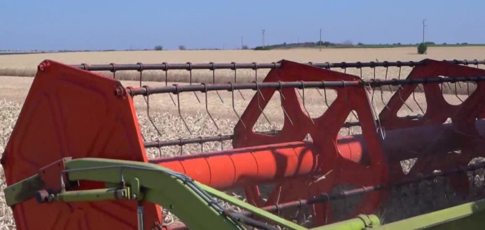 Вече само с три имена и ЕГН: Облекчен режим при еднодневните трудови договори