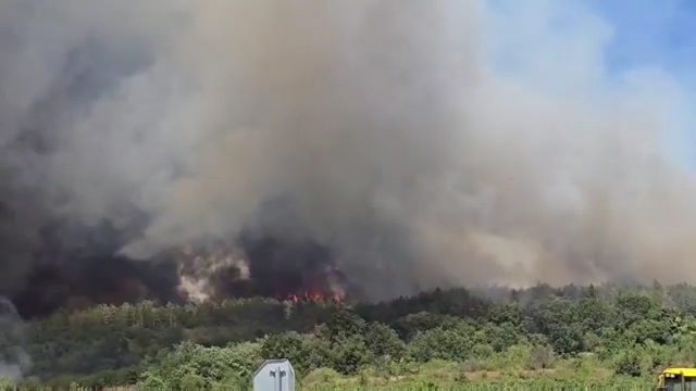 И Сунгурларе пламна: Огнената стихия изпепели 10 хил. дка гора 