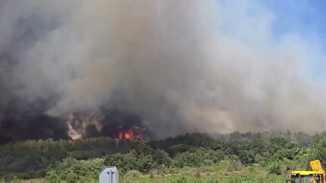 Пожарите в страната: 159 огнени стихии са гасени през последните 24 часа 