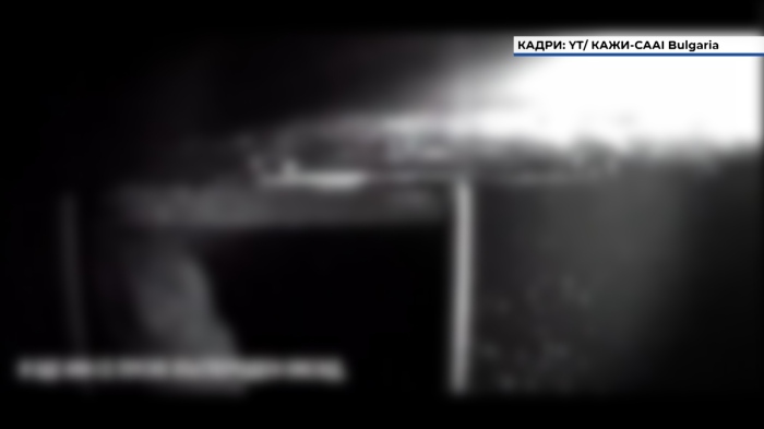 Забраниха фермите за норки в България: ВАС окончателно потвърди заповедта на МОСВ