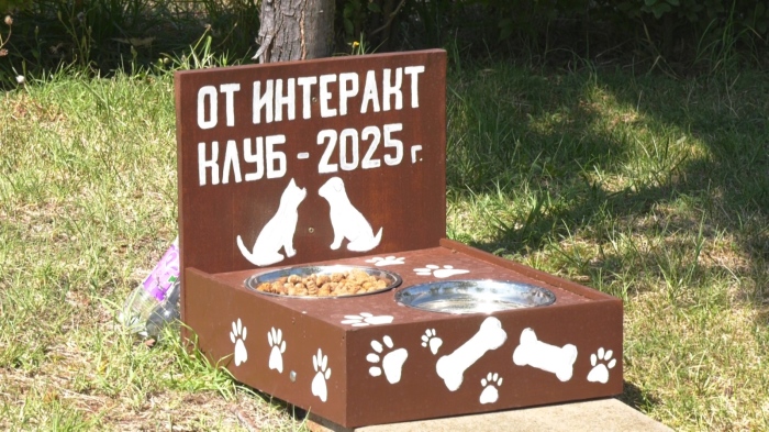 С грижа за четириногите: Врачански младежи направиха хранилка за кучета