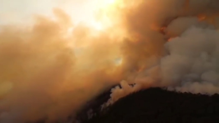 След 22 дни огън: Пожарникари и доброволци успяха да спрат пожара в Пирин