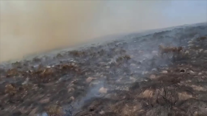 Пожарът в Рила: Огънят е засегнал над 700 дка площи