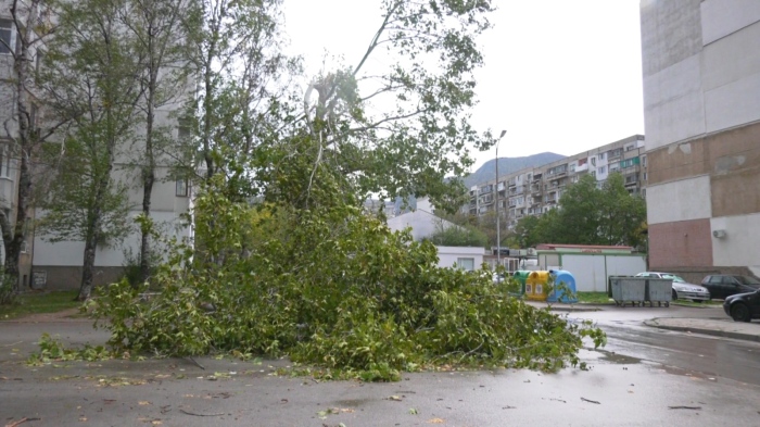 Силен вятър с пориви до 90 км/ч: Има ли щети във Враца?