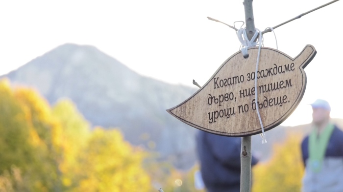 Ученици засадиха дървета с послания в седмицата на будителите под надслов \"Уча се от лесовъда\"